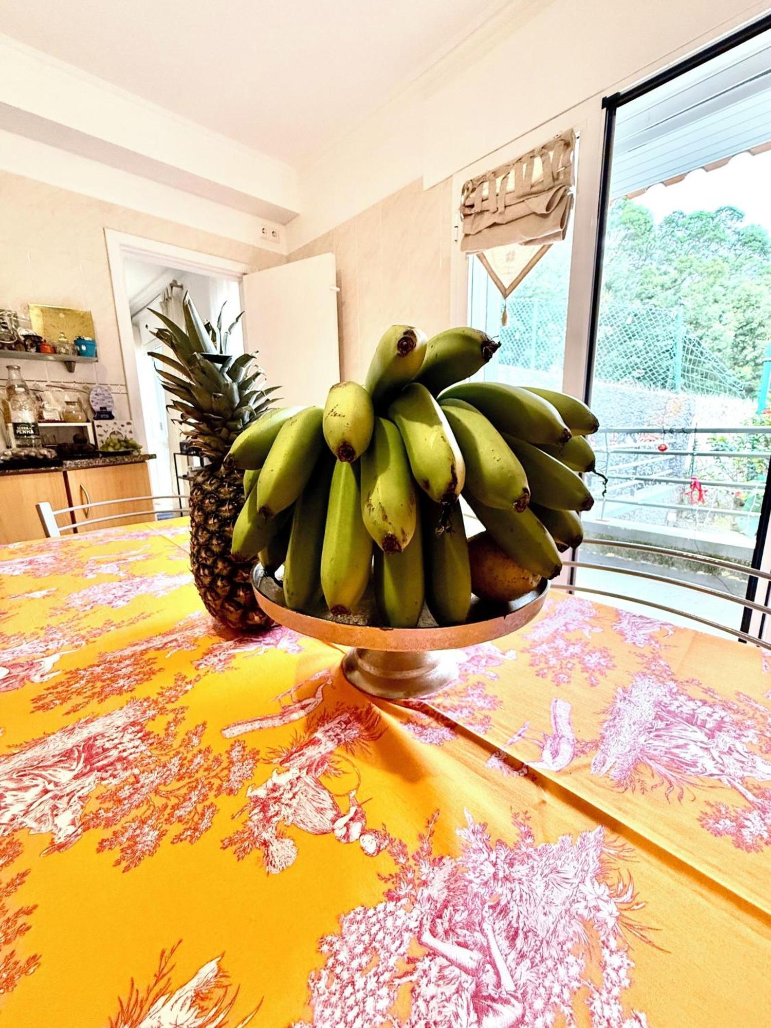 Casa Do Sol Villa Santa Cruz  Ngoại thất bức ảnh